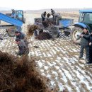 평남농장 이미지