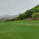 챔프골프연습장 이미지