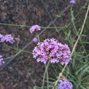 상대원시장 이미지