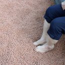 매호근린공원 이미지