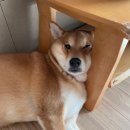 뉴픽 이미지