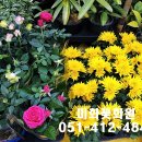 미화화원 이미지