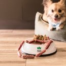 수원 스카이 동물메디컬센터 이미지