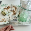 노나민트