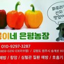 정봉아농장 이미지