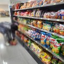 제천오락실 | 제천/리솜포레스트, 부대시설 이용기🎮🎤🌌 - 편의점, 오락실, 노래방, 별똥카페