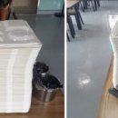 중앙함바 이미지