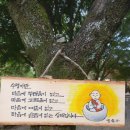 불교 입문 11, 11장 대한불교조계종의 불자는 무엇을 알고 실천해야 하는가! 26. 6. 13(토)