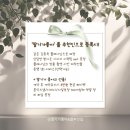 웨딩일기 Ep.26 - 레이나모라 드레스투어 솔직 후기