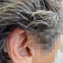 대학당 | 안양보청기 매장 대학당보청기 방문후기