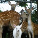 김진관농장 이미지