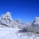 성공적인 인생2모작 이미지