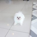 몽타운 이미지