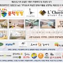 올리브헤어샾 이미지