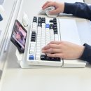 회사법인 에코레스트 | 키보드 손목받침대 큐데스크 팜레스트 추천 사용 후기