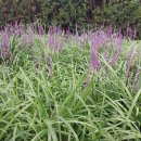 연조공원 이미지