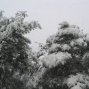 강릉우리집 이미지