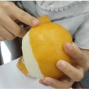 사람과일 이미지