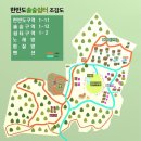한반도 솔숲쉼터 캠핑장