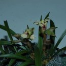 자산동011 이미지