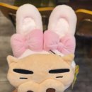 엑스와이제트(XYZ) 이미지