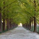 메타길5(어린이프로방스) 이미지