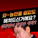 생리대 비싸다던 재명. 쌀값 급등 앞엔 침묵? 이미지