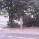 충주고구려비전시관 이미지