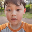 꽃돌이목장 네이버블로그