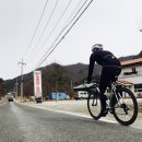 양촌공판장 네이버블로그