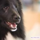 트윙클문 이미지