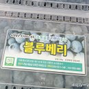 농업회사법인 주식회사 정성농장