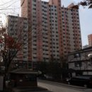 서울백세안과의원 Daum카페