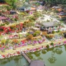 숲을 그리다 이미지