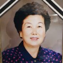 온정국수 이미지