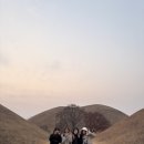 올리브김밥
