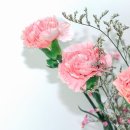 마음에 드는 사람과 걷고 싶다 이미지