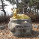 황금송아지