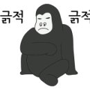 몬스터써클