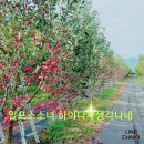 아트숲연수원아트숲연수원아리카페 이미지