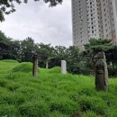 정유선생묘 이미지