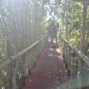 전라북도 전주 한옥마을 전주난장 여행 체험 다녀온 후기2탄