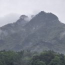 수산1리 Daum카페