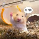 (SDH)기업경영지원단 | 국민대 기업경영 재학생/신입생에게 추천하는 활동 | 아마도 퇴사자 한정..