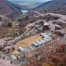 월아산 숲속의 진주(목재문화체험관) 이미지