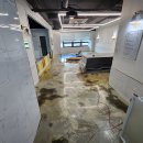 우리집 첫째 이미지