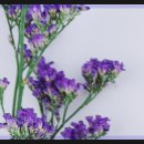 선릉쉼표정신건강의학과의원 이미지