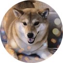 놀로 아쿠아센터 이미지