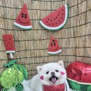 희희퍼피 이미지