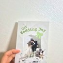 센터비즈 | 비즈하우스 셀프청첩장 제작 후기(고객센터 연결, 비즈하우스 할인코드 공유)
